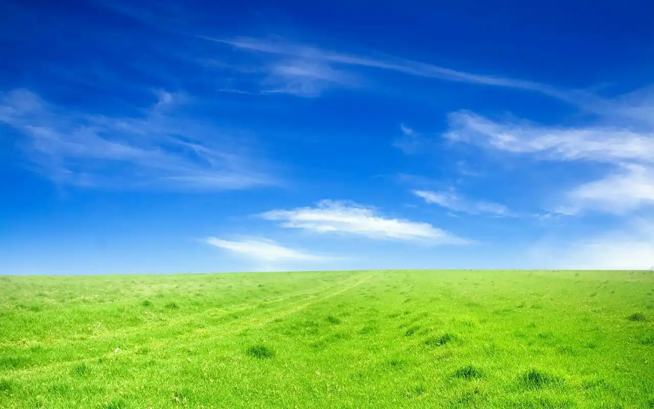 壁纸,绿草地,蓝天