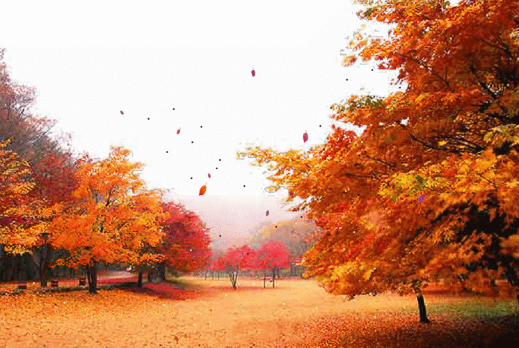 图库图片素材可牛影像制作教程本站是提供个人知识管理的网络存储空间