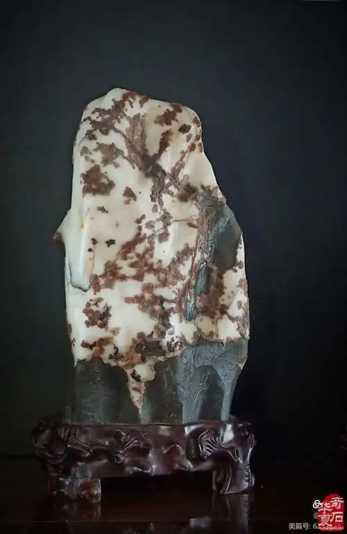 洛阳奇石藏家李祥义作品欣赏上