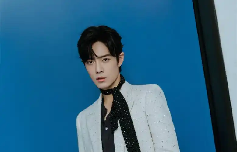 2020超帅肖战时尚壁纸_肖战跨年晚会造型_唯美图片_精品库