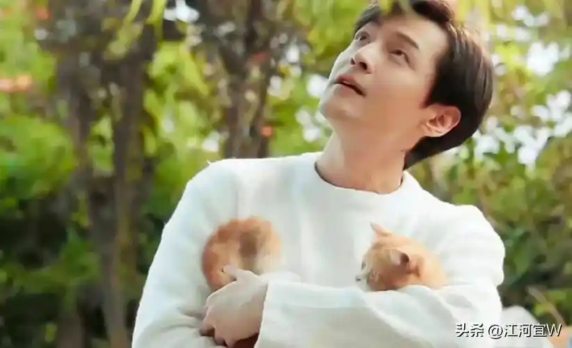 这才是胡歌的真实感情线,黄曦宁薛佳凝江疏影刘亦菲王晓晨唐嫣_恋情