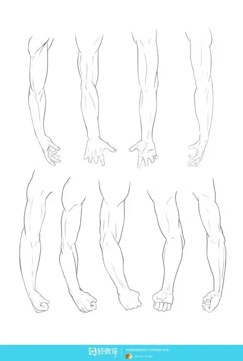 作业:如何学动漫插画之手臂的画法与训练技巧 - rh-23-137 筱汐