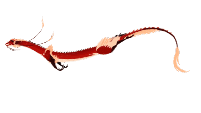 教练我想学动画第一弹