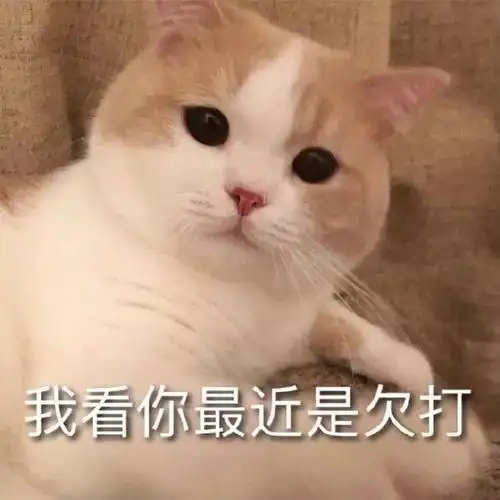 129张斗图必备的沙雕表情包