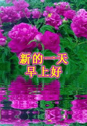 山不转路转路不转人转只要心念一转逆境也能成机遇早安