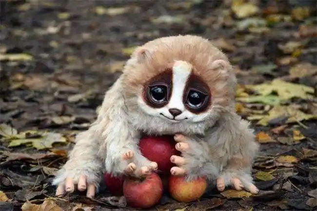 世界上最美的十大夜行动物 第一名还被当做宠物