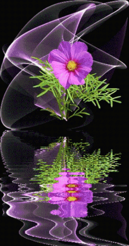 279_530竖版 竖屏gif 动态图 动图