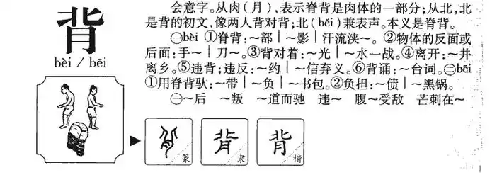 背怎么读_背组词_背读音_背笔顺_背拼音_背笔画_背什么意思_背繁体字