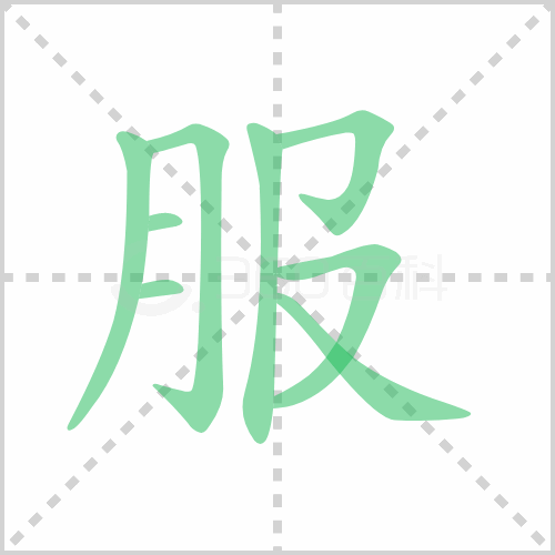 服的笔顺书写演示《服》字笔画,笔顺以上关于服组词有哪些及服的笔顺