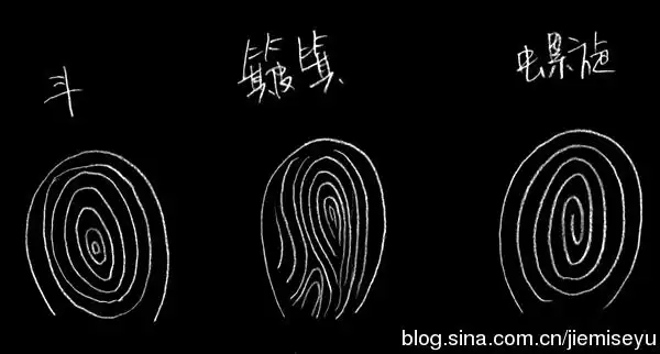 手指螺纹帮你匹配婚姻