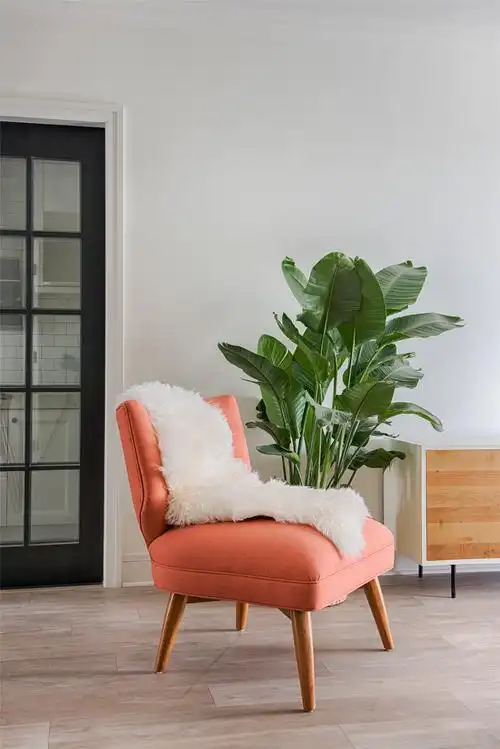 单人沙发床图片,单人沙发床图片案例_2022装修效果图-齐家网装修图片