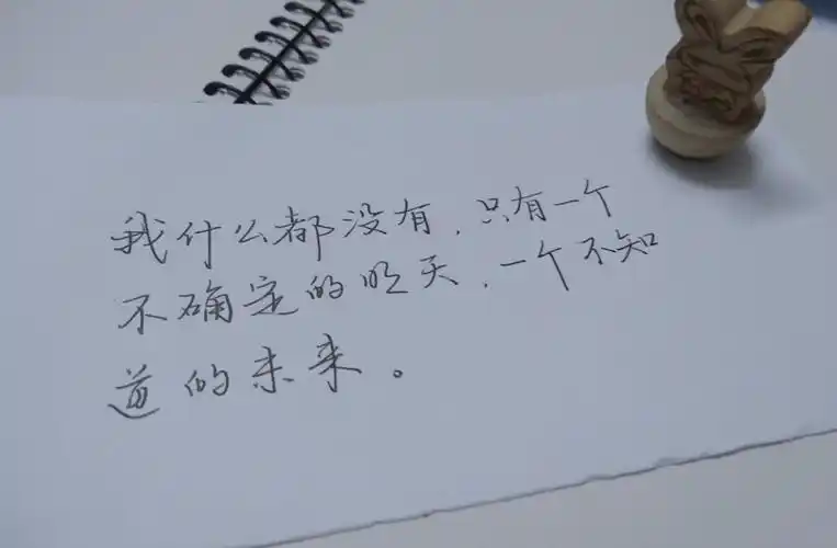 【 我什么都没有,只有一个不确定的明天,一个不知道的未来】原创手写