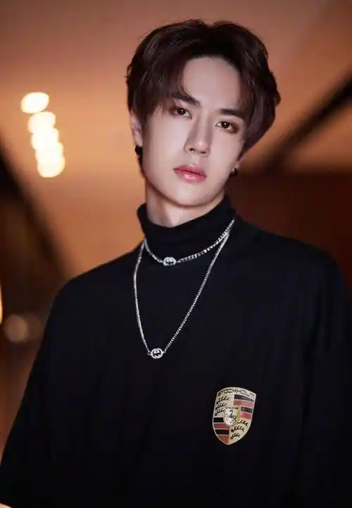 肖战王一博是什么爱豆?