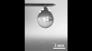 水滴滴落在这种超疏水表面上可以被轻松弹开研究者在普通的聚苯乙烯