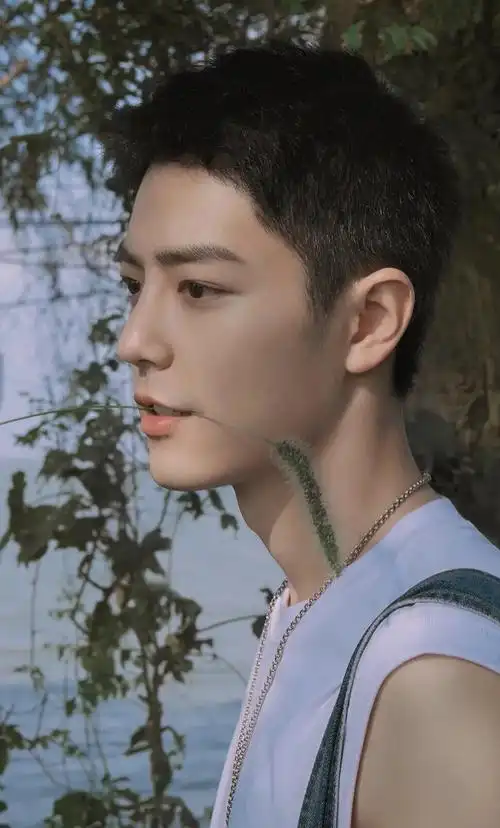 肖战呐我前世大概是棵狗尾草被你亲了一下此生便再也放不下你了