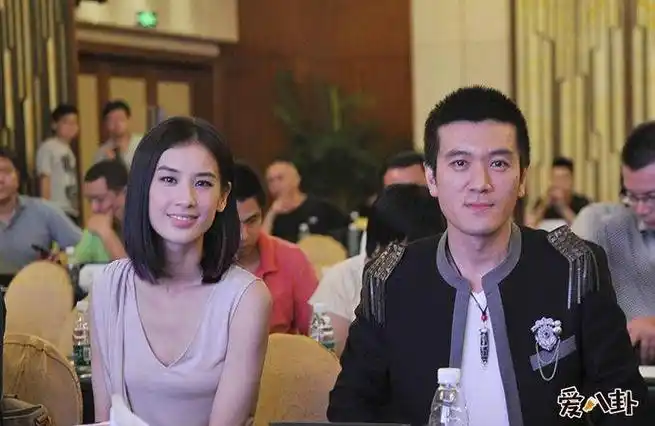 陶虹是杨子的前妻,上海人,中国巨力集团执行总裁.