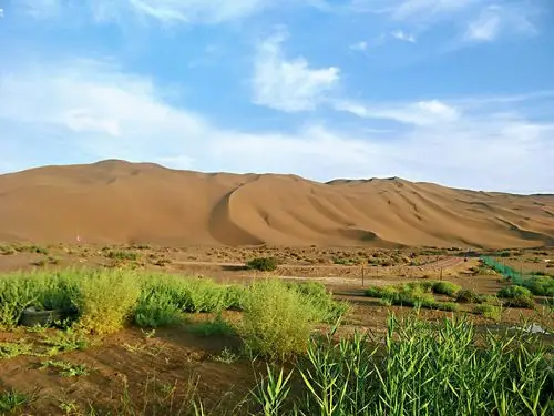 沙漠奇观:在沙漠边种水稻,沙漠水世界就是这么奇特!