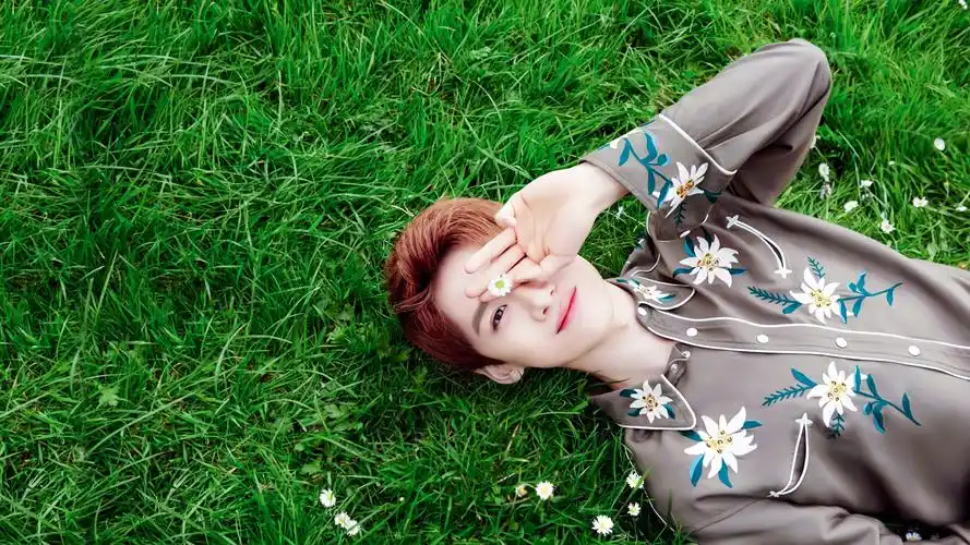 白敬亭 凰权弈天下 顾南衣 cr:nox_x