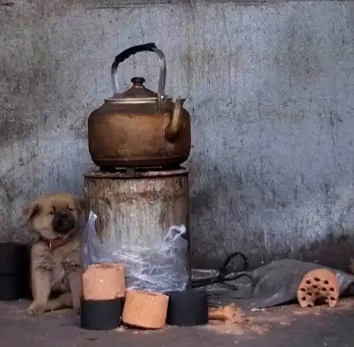 原创六十张老照片60后70后80后的记忆回不去的童年回不去的青春