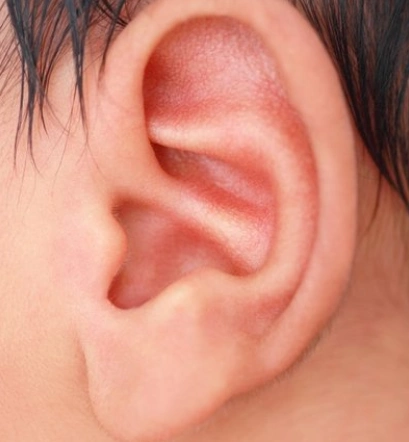 从耳朵形状看你的性格与富贵穷通