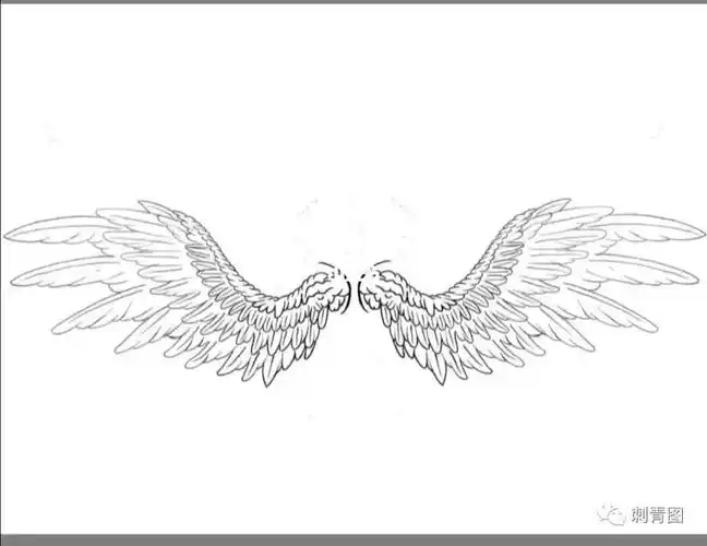 翅膀纹身手稿