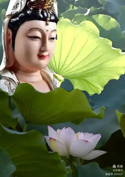 来生愿做一朵莲,静静盛开在佛前.