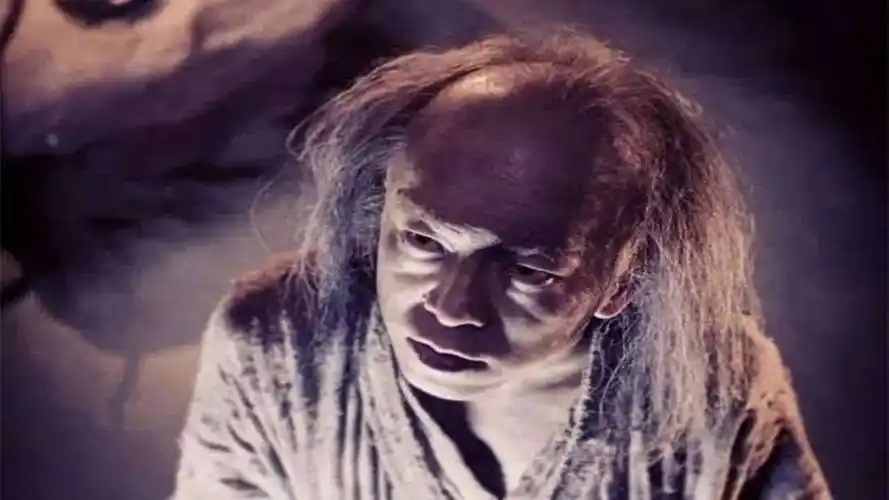 那些在影片中扮丑的男星们有的是恶搞有的是为演艺事业献身