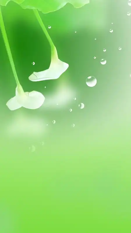 唯美植物绿色h5背景