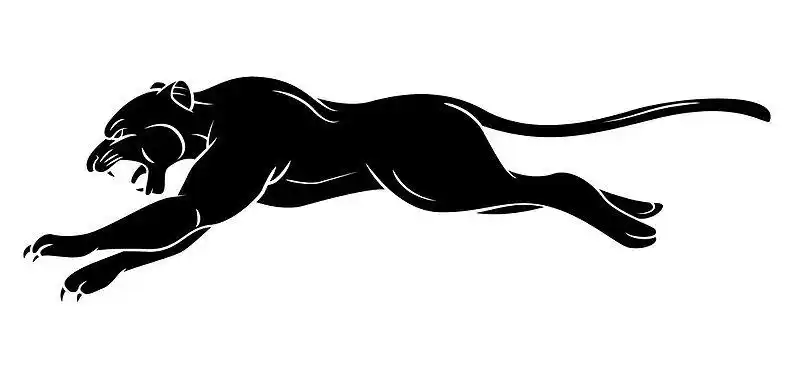 黑色_剪影_豹_高清图片_全景视觉