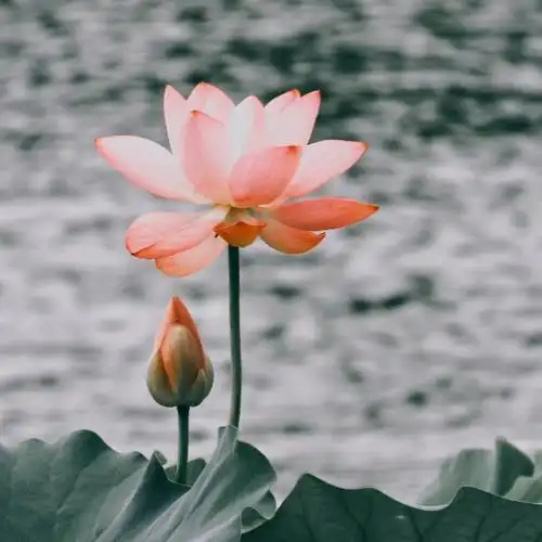 好看高清吸引人耐看头像用比较久头像图片_微信头像_头像屋