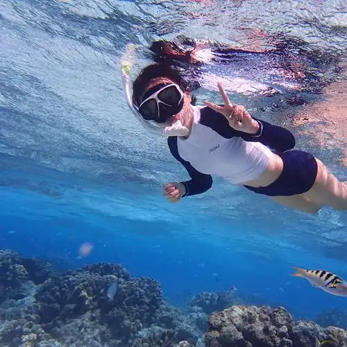 韩国braeel潜水服防晒长袖浮潜服女分体显瘦速干潜水服