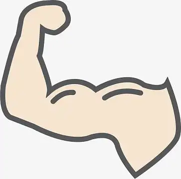 png毛孔粗大(500x500)png树 简笔画(567x567)png卡通动物小猪矢量(2