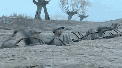 409_228gif 动态图 动图