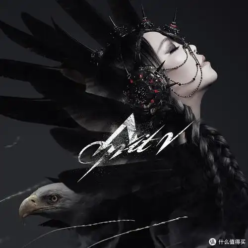 这是一首收录于张惠妹2015年发行的专辑——《阿密特2》的歌曲.