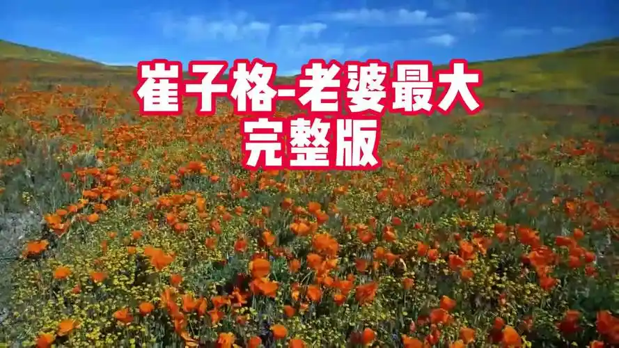 风景 超好听的伤感音乐,伤感歌曲:崔子格-老婆最大