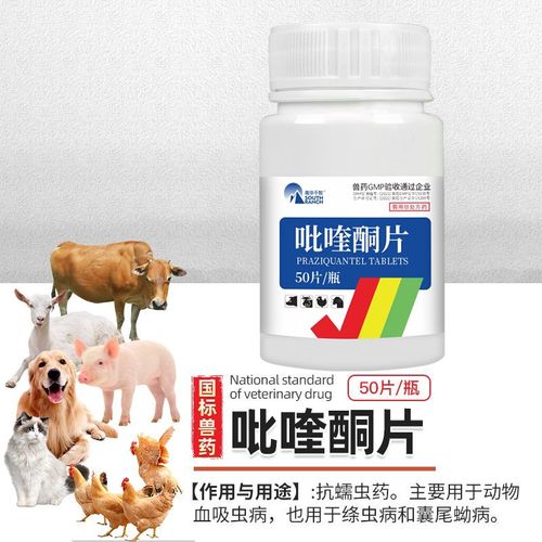 吡喹酮片兽用肝脑清驱虫药猪牛羊犬猫脑包虫脑炎绦虫血吸虫