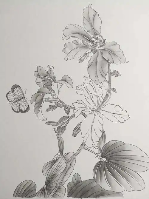 【国画教程】工笔《紫荆花》