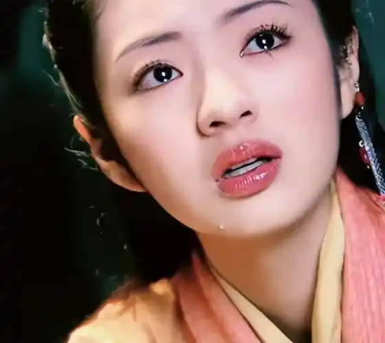 传》一经播出深受观众喜爱,她所饰演的林月如虽是个不好讨喜的角色,但