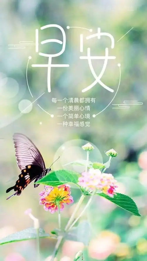 生活感悟早安的经典语录,句句言之有理,让人深思,最美早安图片