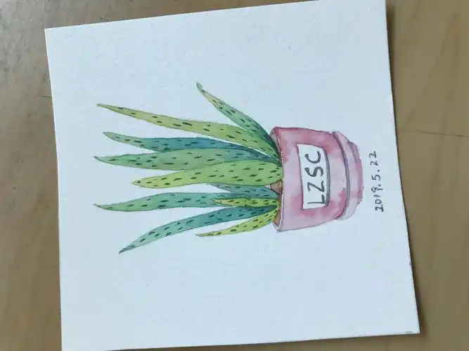 零基础水彩绘画教程跟着照片画盆栽1