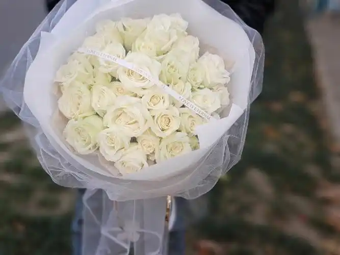 33朵白玫瑰花束