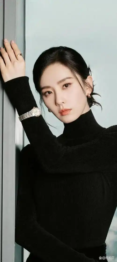 重点描述刘诗诗的外表和演技吸引观众并获得认可的事实,然后描述她对