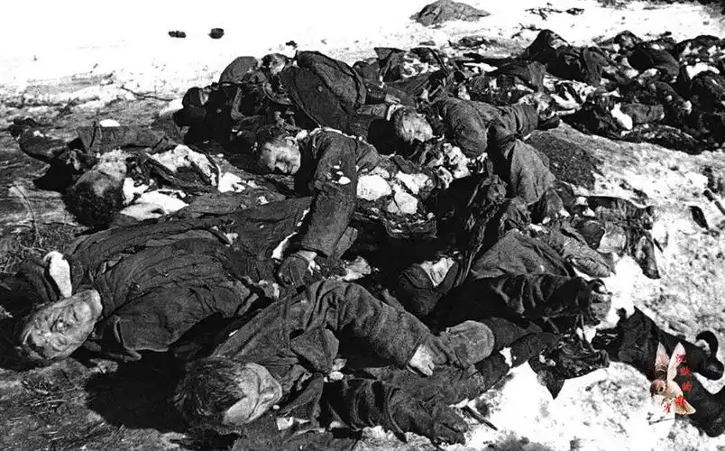 处村庄后,苏军发现了38名苏军战士的尸体,他们被德国人俘虏后拷打而死