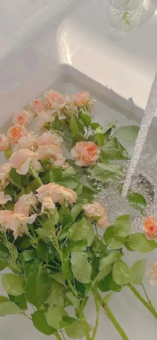 简约壁纸##ins风壁纸##关于夏天的朋友圈文案##微信状态背景图##日常