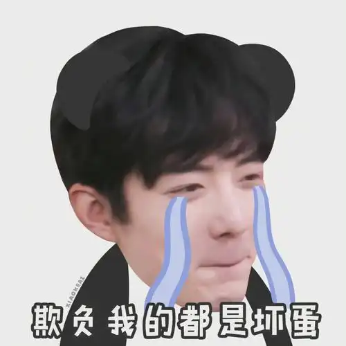 肖战表情包三十七弹