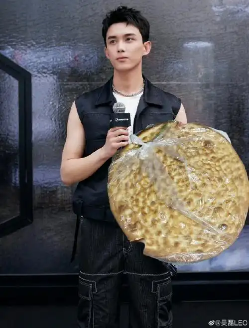 吴磊 你好不好##吴磊翻牌