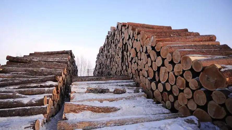 穿越东方红大森林,看正在消失的"东亚"第一贮木场