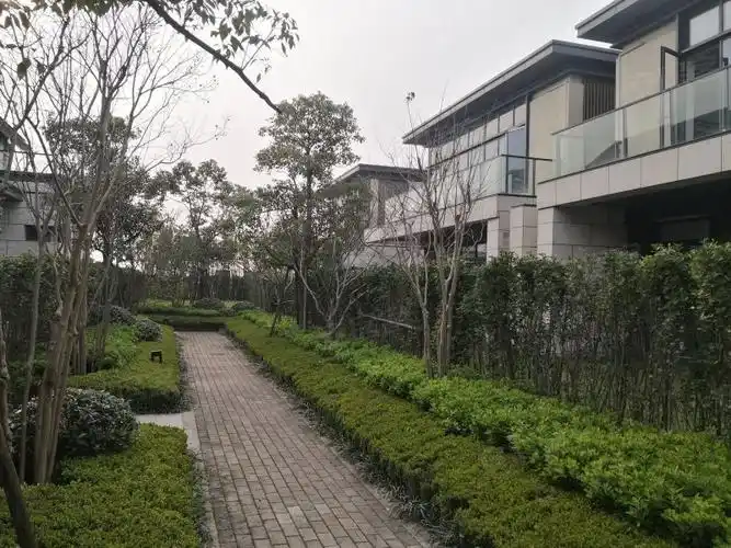 鲁能泰山9号(别墅),顺贤路-苏州鲁能泰山9号(别墅)二手房,租房,房价