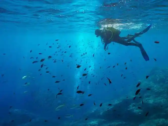 海底探险盘点全球最美的十个潜水旅游地提供五彩缤纷的美景