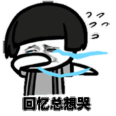 回忆总想哭动态表情包